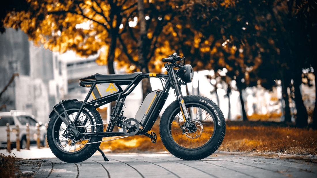 A-Spadz ELECTRIC BIKE BATTERY CHARGING GUIDE & TIPS - A-Spadz
