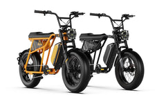 Combo Ebikes